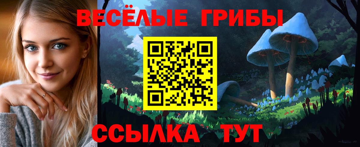 Галлюциногенные грибы прущие грибы Коммунар